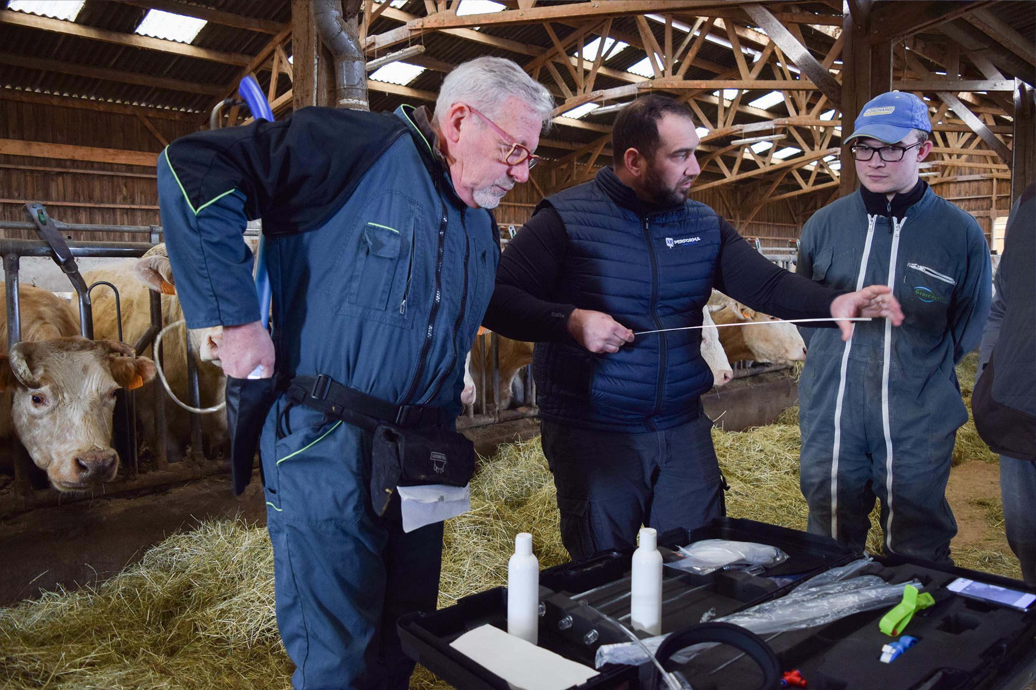 Deux formateurs Eye Breed présentant l'outil à des éléveurs devant ses vaches