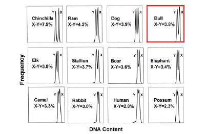 Graphique de separation chromosome x et y suivant especes animales